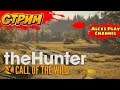 Смотрим новые дополнения в TheHunter: Call of the Wild #27