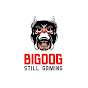 Big Dog Still Gaming