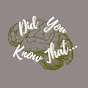 Did You Know That