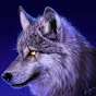 NightmareWolfXP