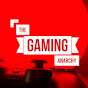 TheGamingAnarchy (TGA)
