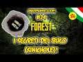 I Segreti del Buco (SinkHole)! - The Forest Coop Gameplay ITA #24
