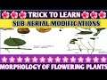 Sub Aerial modification|trick to learn modifications of stem|Biology Short tricks|NCERT Class11|NEET