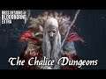 The Chalice Dungeons (co-op) || Boss Designs of Bloodborne EXTRA (blind run)