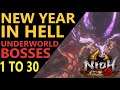 Nioh 2. All Underworld bosses with Spear, no magic. Floors 1 to 30