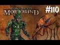 The Elder Scrolls 3: Morrowind part 110 (German)