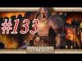 The Elder Scrolls IV Oblivion ITA - #133 Niryastare!!!