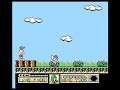 Tiny Toon Adventures (Nintendo NES system)