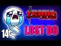Lost D6 Run #14 - Hutts Streams Repentance