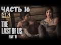 The Last of Us Part II (4K) (Одни из нас: Часть II Прохождение #16) - НЕОБЫКНОВЕННАЯ СЕМЬЯ!