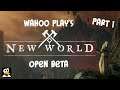 Wahoo Play's New World Open Beta! | My First Hour & First Impressions | Part 1/3
