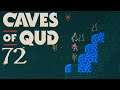 SB Plays Caves of Qud 72 - The Second Council of Omonporch