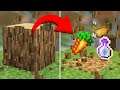 What if Every Minecraft Drop was RANDOM? (Randomizer Survival #1)