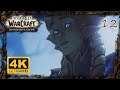 WOW SHADOWLANDS Gameplay Walkthrough 4K ᵁᴴᴰ 60ᶠᵖˢ ✔ | ARDENWEALD STORYLINE EPISODE 3 Full Map