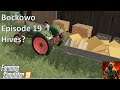 Farming Simulator 19 - Bockowo Survival Timelapse - Ep 19