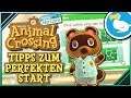 Tipps für den PERFEKTEN START in Animal Crossing New Horizons