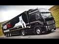 ✪ EURO TRUCK SIMULATOR 2020 - Neu auf der Straße 🚚 Let's Play Euro Truck Simulator 2 deutsch