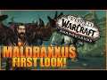 Shadowlands Maldraxxus Zone First Look - Single Minded Fury Warrior (WoW 9.0 Alpha Testing)