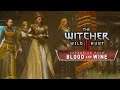 THE WITCHER 3: BLOOD AND WINE ⚔️ Die Qualen des GLUMAARS | #200