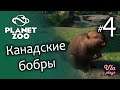 Канадские бобры - Planet Zoo #4 | Прохождение на русском