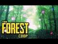 WIR WAREN SCHON LANGE NICHT MEHR SO VERSTÖRT ❗🌲 The Forest Deutsch 88 | PC Gameplay German
