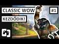 KEZDŐDIK! | Classic WoW Druidával #1