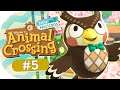 Museum 🏝️ Animal Crossing: New Horizons #5