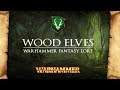 The Wood Elves - Warhammer Fantasy Lore - Total War: Warhammer 2