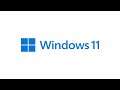 Go Back Button Not Working in Windows 11 FIX