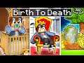 BIRTH TO DEATH of ROYALTY In Minecraft! 360