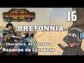 Hold Steady! - Total War: Warhammer 2 - Legendary Bretonnia Campaign - Repanse de Lyonesse - Ep 16