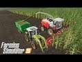 Sieczkarnia kosi kukurydzę... - Farming Simulator 19 | #16