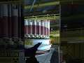 1v5 on nuke with SG (twitchlink in bio) #shorts