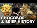 A Brief History of Chocobos | Final Fantasy Lore