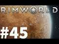 Rimworld Part #045 Chickens!