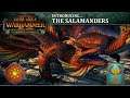 The Return Of The Salamander. Lizardmen Vs Tomb Kings. Total War Warhammer, Multiplayer