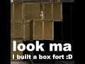 Bables Box Fort
