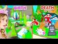 BIRTH To DEATH Of Adopt Me! (Roblox)