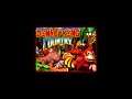Donkey Kong Country - Fear Factory theme (SNES)