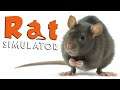 ICH BIN EINE RATTE - Rat Simulator