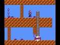 Legend of the Blob Brothers 2 (SMB2 Hack) - World 3-2