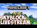 Livestream Minecraft Skyblock, Directo Minecraft Skyblock