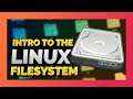 "Where's my C:\ Drive?" | The Linux File System Explained!