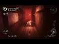 Nioh While Waiting For Square Enix E3 :D