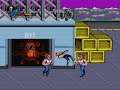 Double Dragon II: The Revenge [Arcade] PC HD