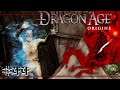EL HECHICERO LADRÓN DE BELLOTAS | Dragon Age Origins #44