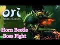 Ori and the Will of the Wisps - Horn Beetle Boss Fight