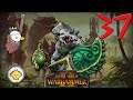 Total War: Warhammer 2 - Occhio del Vortice - Gor Rok di ITZA | Gameplay ITA #37
