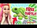 How to Get The *NEW* LEGENDARY TURTLE FOR FREE!! Adopt Me Aussie Egg Update! (Roblox)