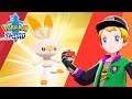 SHINY HUNTING SCORBUNNY! Day 2 of Masuda Method Shiny Hunting in Pokemon Sword